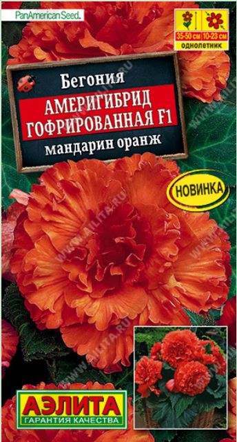 Бегония_Америгибрид F1 Мандарин Оранж (гофрированная) (клубн)_5_шт._Аэлита