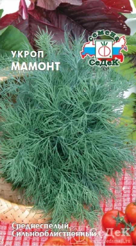 Укроп_Мамонт_2_г._Седек