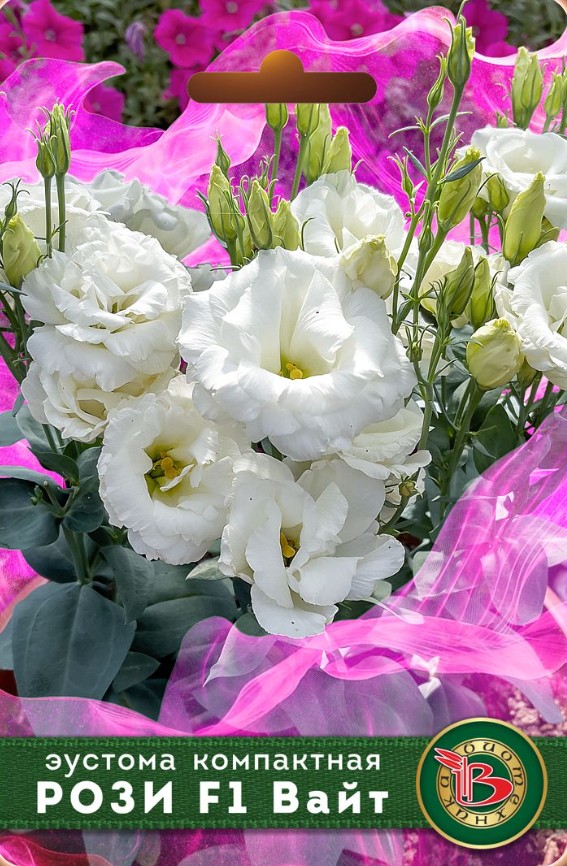 Эустома (Лизиантус)_Рози F1 Вайт (махр)_5_шт._Биотехника