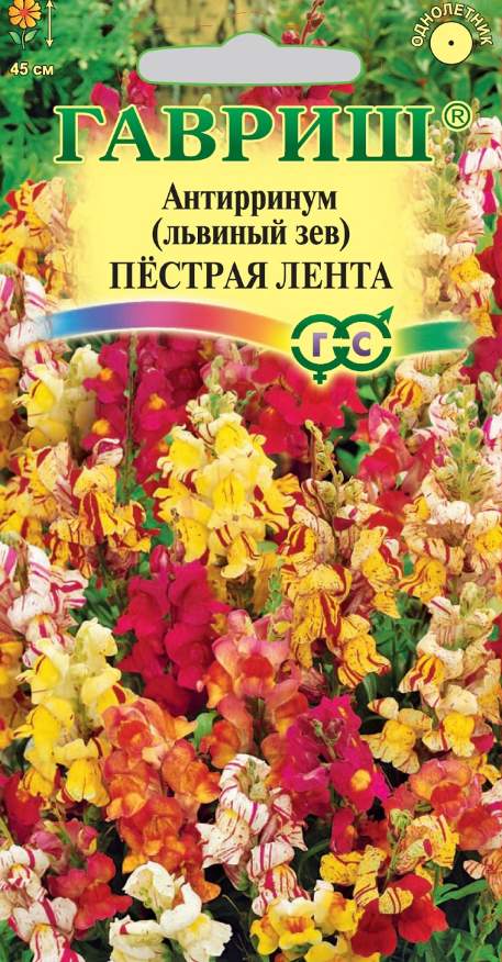 Гелихризум (бессмертник)_смесь_0,2_г._Наш Сад