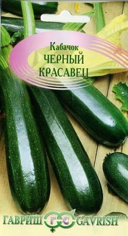 Кабачок_Черный красавец_2_г._Гавриш