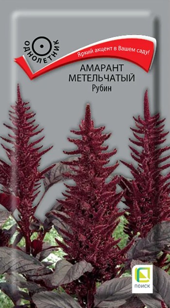 Амарант_Рубин (метельчатый)_0,05_г._Поиск