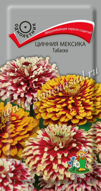 Цинния_Мексика Табаско_10_шт._Поиск
