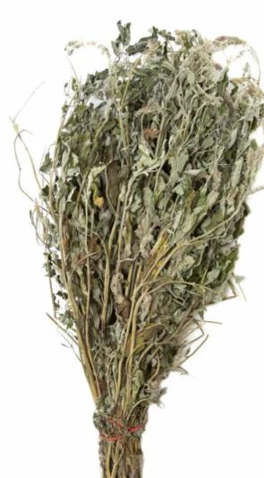 Трава-запарник МЯТА БЕЛАЯ XXL