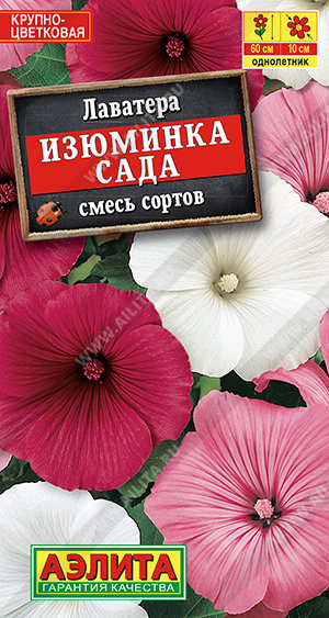 Лаватера (хатьма)_Изюминка сада см_0,5_г._Аэлита