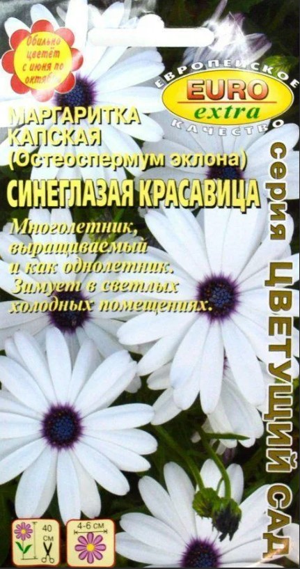 Остеоспермум (маргаритка капская)_Синеглазая Красавица_0,1_г._Аэлита Э