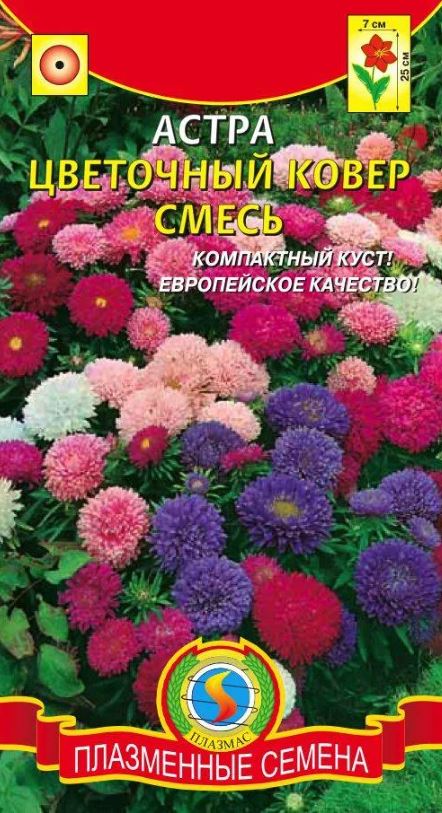 Астра_Цветочный ковёр см (низкорослая)_0,04_г._Плазменные семена