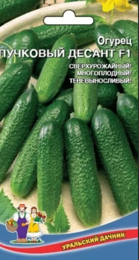 Огурец_Пучковой Десант F1_10_шт._Уральский Дачник