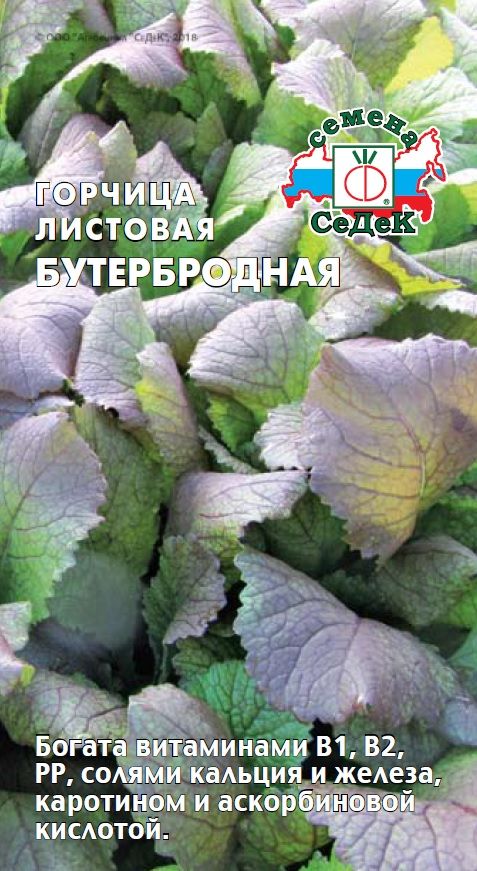 Горчица_Бутербродная_1_г._Седек