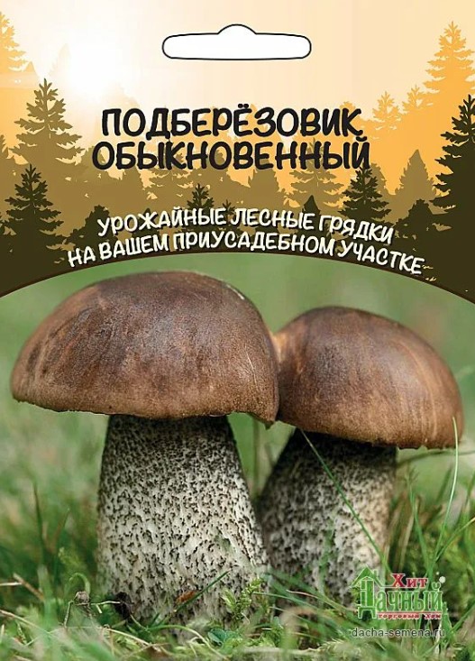 Мицелий_Подберёзовик Обыкновенный б/ф_30_мл._Уральский Дачник