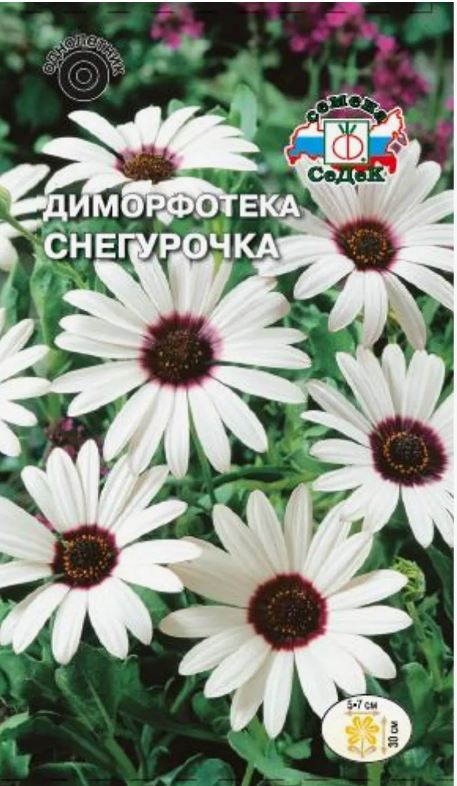 Диморфотека_Снегурочка (белая)_0,2_г._Седек
