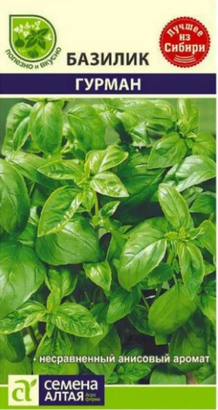 Базилик_Гурман_0,04_г._Семена Алтая
