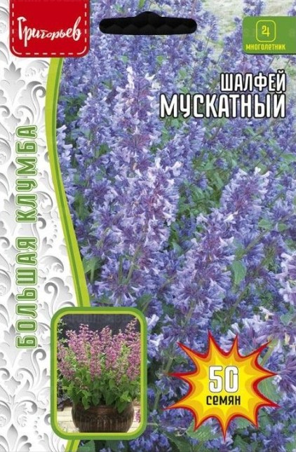 Шалфей_Мускатный б/ф_50_шт._Григорьев