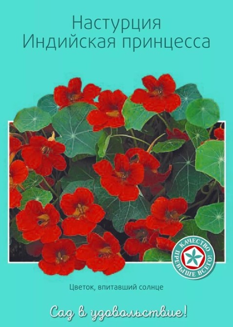 Настурция_Индийская Принцесса_10_шт._Акварель
