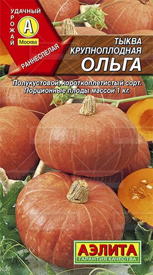 Тыква_Ольга_2_г._Аэлита