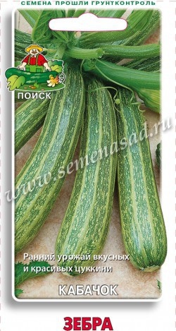 Кабачок_Зебра (цуккини)_12_шт._Поиск