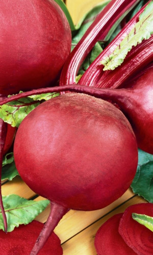 Свекла_Болтарди_2_г._Уральский Дачник