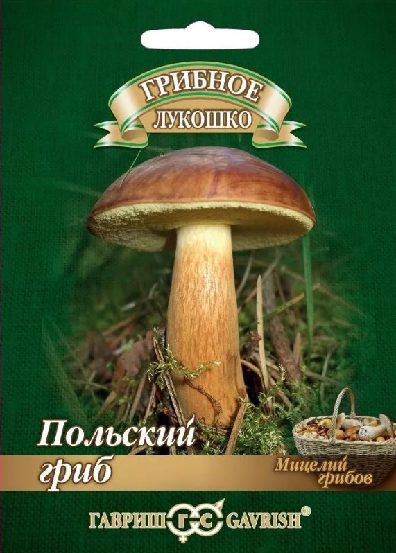 Мицелий_Польский гриб на зерновом субстрате б/ф_15_мл._Гавриш