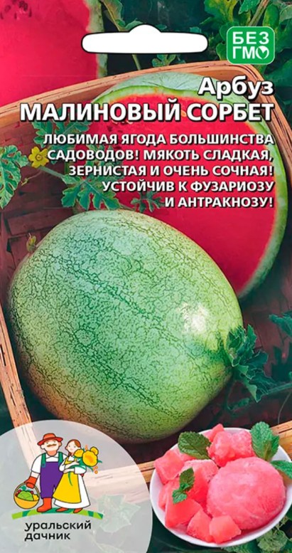 Арбуз_Малиновый Сорбет_10_шт._Уральский Дачник