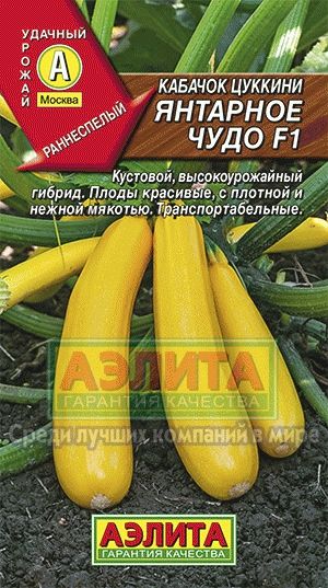 Кабачок_Янтарное чудо F1 (цуккини)_1_г._Аэлита