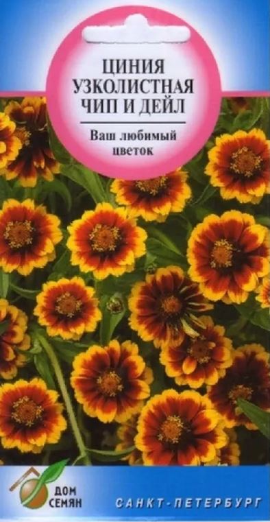 Цинния_Чип и Дейл карлик см_85_шт._Дом Семян С-П