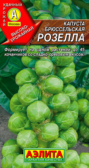Капуста_брюссельская_Розелла (ср/ран)_0,3_г._Аэлита