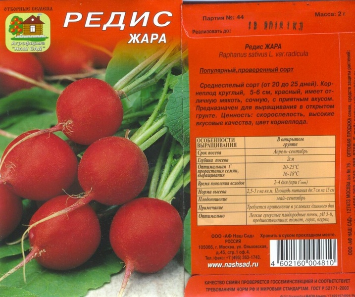 Редис сорта фото описание