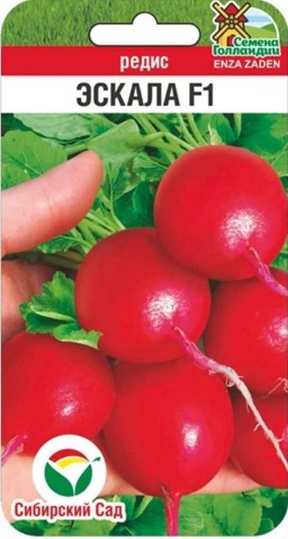 Редис_Эскала F1 (Голландия)_0,04_г._Сибирский Сад