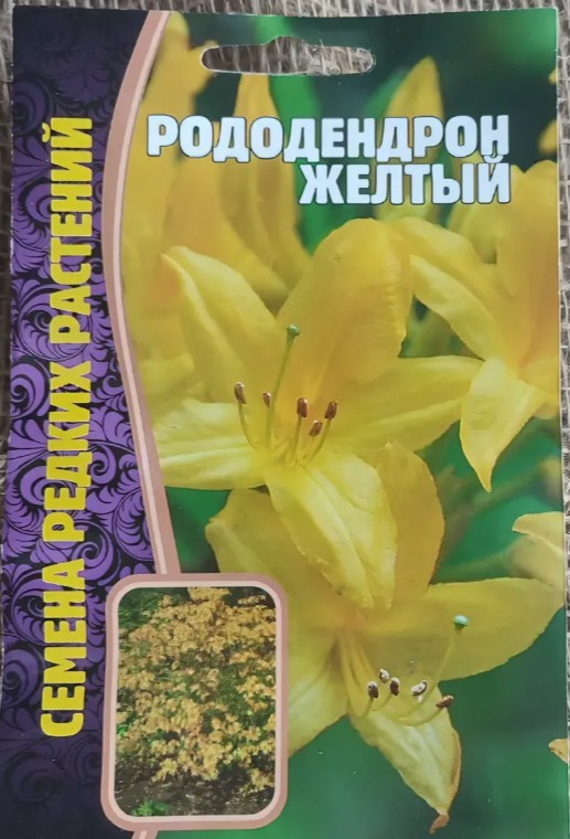 Рододендрон_Желтый б/ф_25_шт._Григорьев