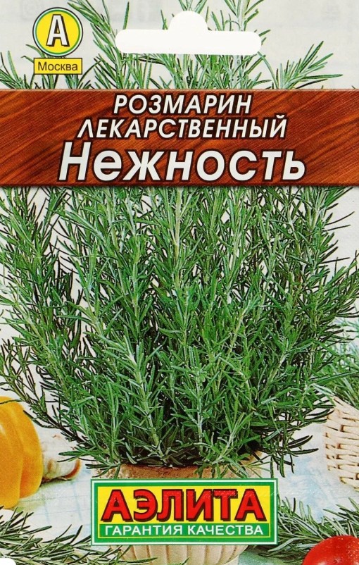 Розмарин_Нежность лидер_20_шт._Аэлита