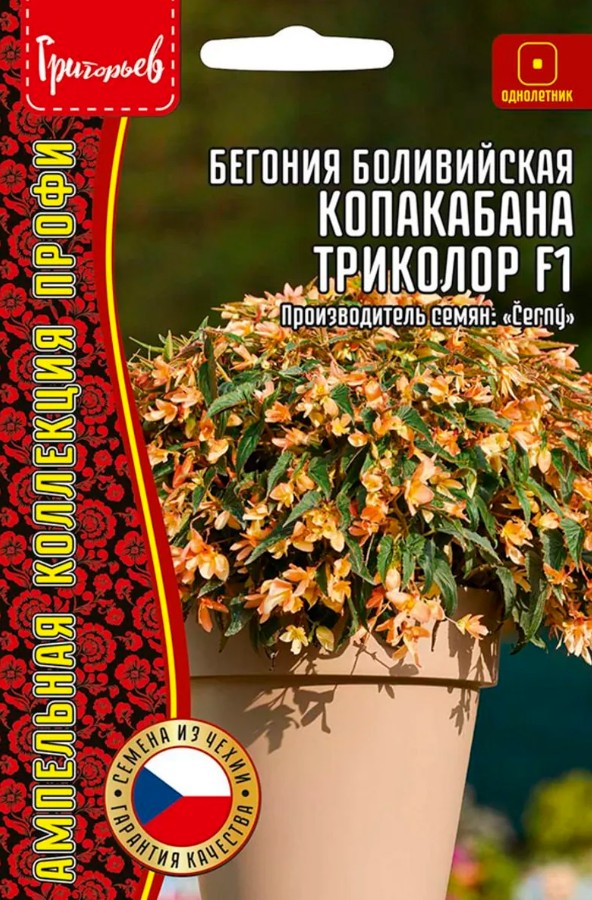 Бегония_Копакабана Триколор F1 (боливийская ампельная) б/ф_3_шт._Григорьев