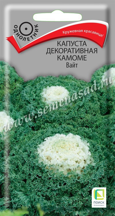 Капуста_декоративная_Камоме Вайт_10_шт._Поиск