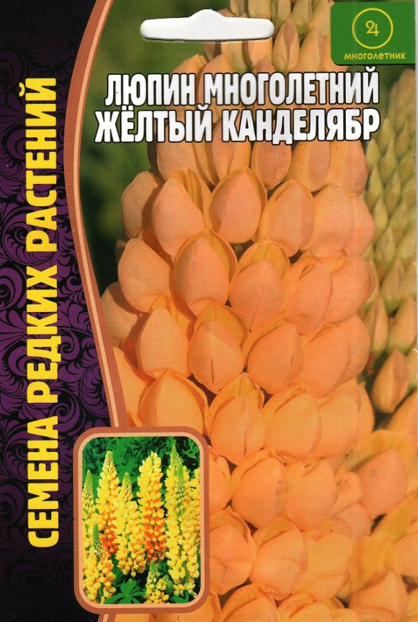 Люпин_Желтый Канделябр б/ф_14_шт._Григорьев