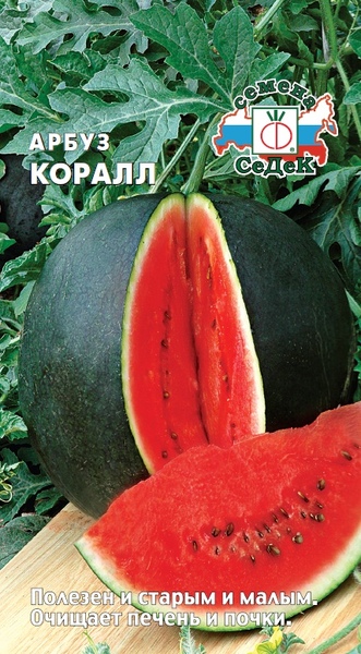 Арбуз_Коралл_1_г._Седек