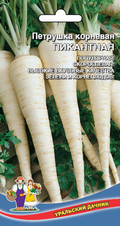 Петрушка_Пикантный Вкус (корневая)_2_г._Уральский Дачник