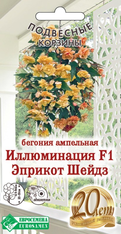 Бегония_Иллюминация Эприкот Шейдз F1 (Подвесные Корзины)_5_шт._ЕВРОСЕМЕНА