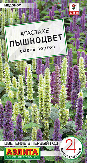 Мята_Пышноцвет (агастахе) см_0,1_г._Аэлита