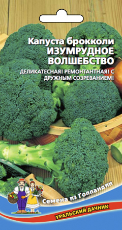 Капуста_брокколи_Изумрудное волшебство_0,3_г._Уральский Дачник