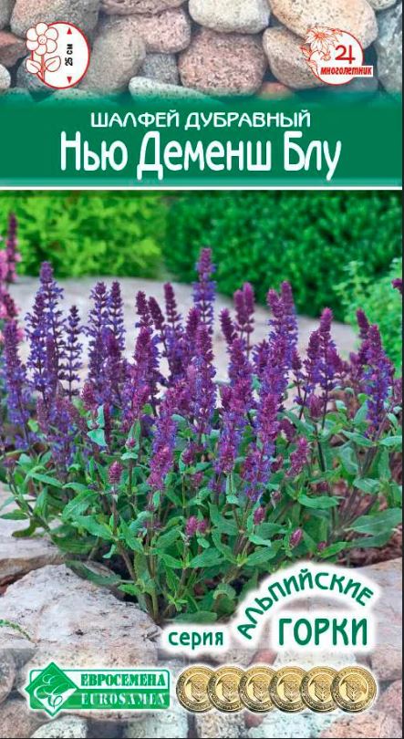 Сальвия (шалфей)_Нью Деменш Блу (дубравный) (Альпийская Горка)_0,04_шт._ЕВРОСЕМЕНА