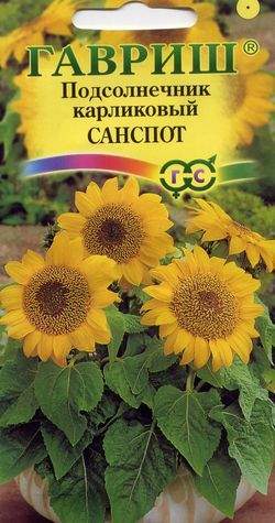 Подсолнечник декоративный_Санспот карликовый_0,5_г._Гавриш