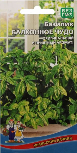 Базилик_Балконное Чудо_0,04_г._Уральский Дачник