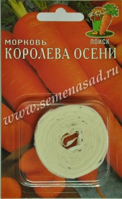 Морковь_лента_Королева Осени_8_м._Поиск