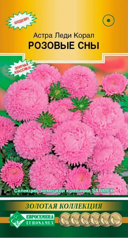 Астра_Леди Корал Розовые Сны (пионовидная) (Золотая Коллекция)_15_шт._Евросемена
