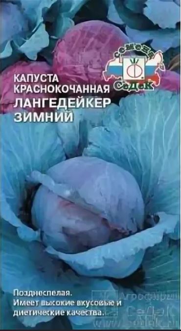 Капуста_кр/к_Лангедейкер Зимний_0,04_г._Седек