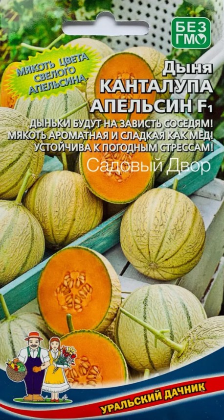 Дыня_Канталупа Апельсин F1_6_шт._Уральский Дачник