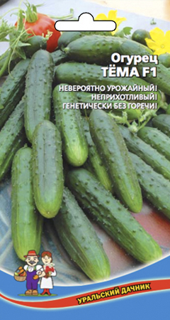 Огурец_Тема F1_12_шт._Уральский Дачник