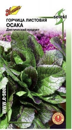 Горчица_Осака_160_шт._Дом Семян С-П