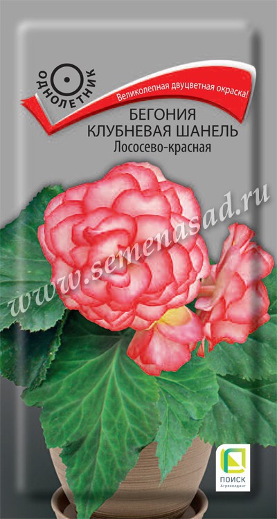 Бегония_Шанель Лососево-красная (клубн)_5_шт._Поиск