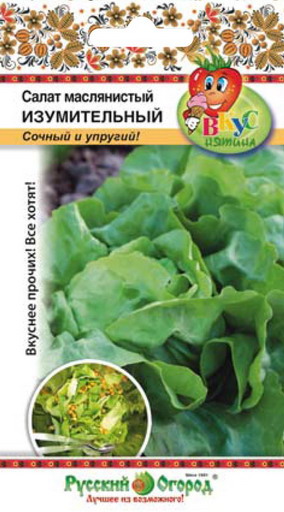 Салат_Изумительный (Вкуснятина) (кочан)_200_шт._НК