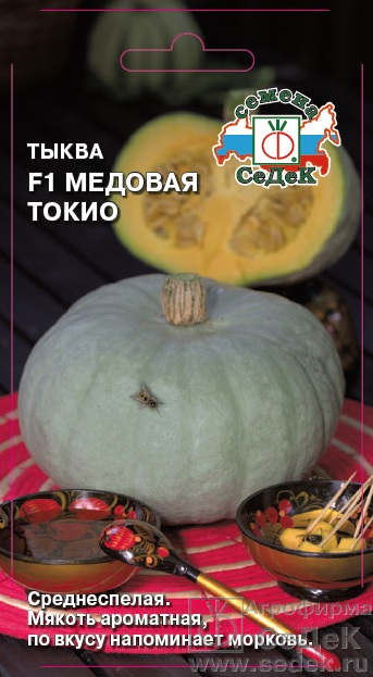 Тыква_Медовая Токио F1_1_г._Седек
